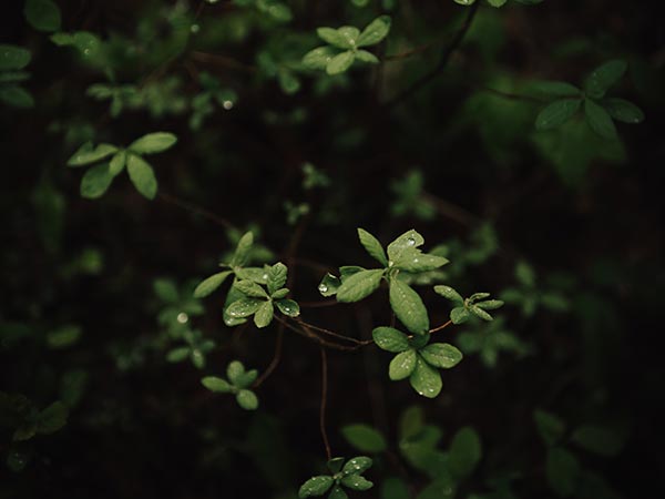 Графика илюстрираща: ben-karpinski-uR_pNOruRPk-unsplash