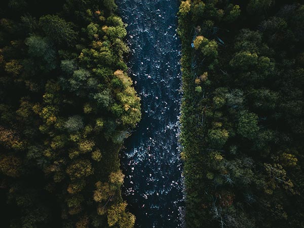Изображение свързано с: tom-ohlin-FeXfDfmxNmU-unsplash