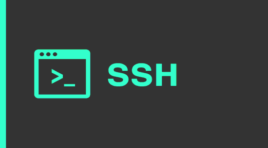 Визуално представяне на: ssh