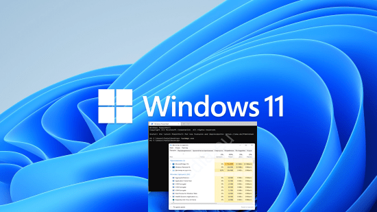 Фотография показваща: windows