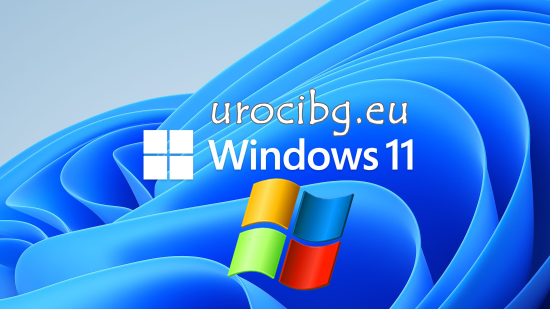 windows 11