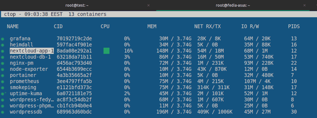 ctop single view