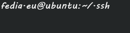 Bash Shell Prompt