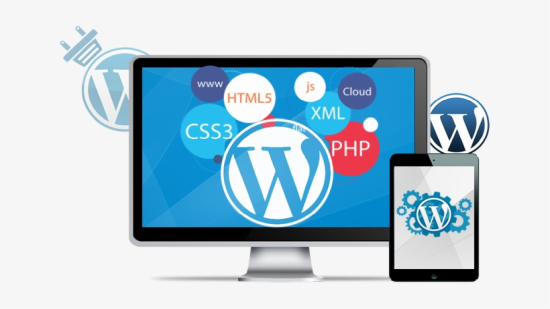 wordPress - docker