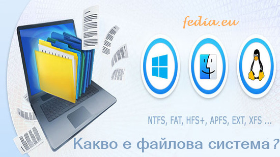 File System