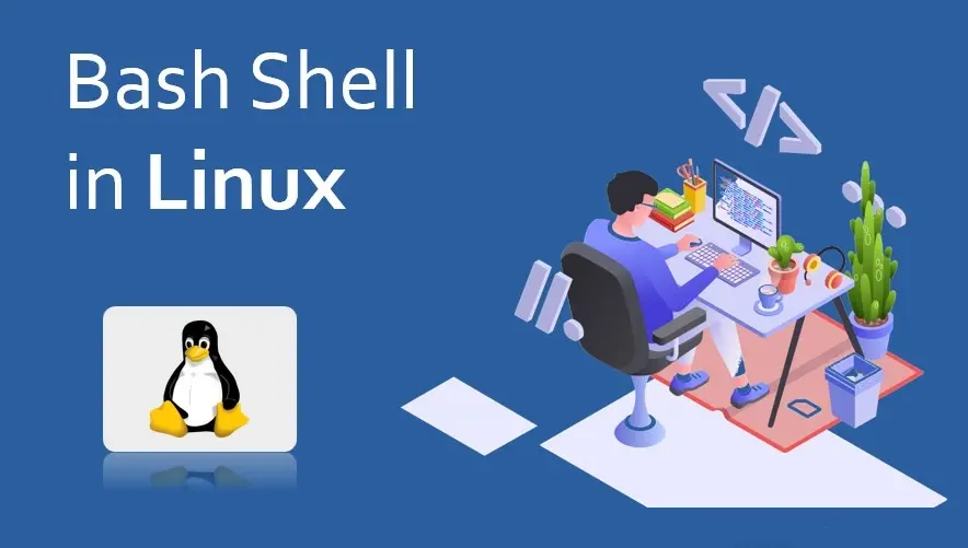 bash shell в Linux?